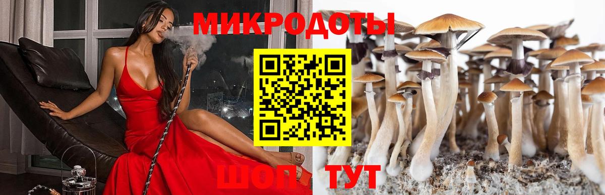 Псилоцибиновые грибы Psilocybe  Галлюциногенные грибы GOLDEN TEACHER  Вход с VPN  Саранск 