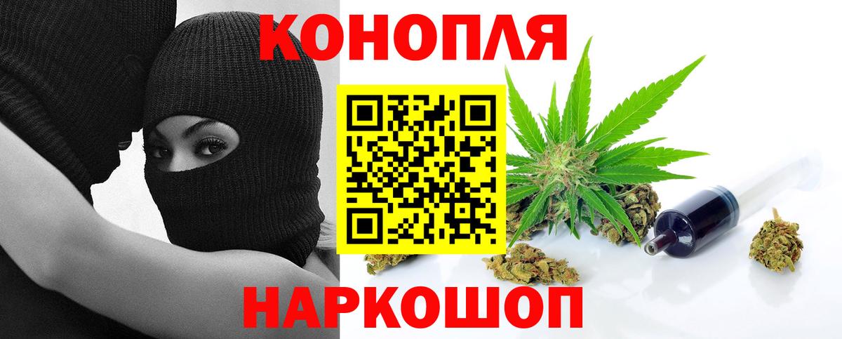 Конопля OG Kush  Канабис семена  Конопля планчик  Вход с VPN  Саранск 